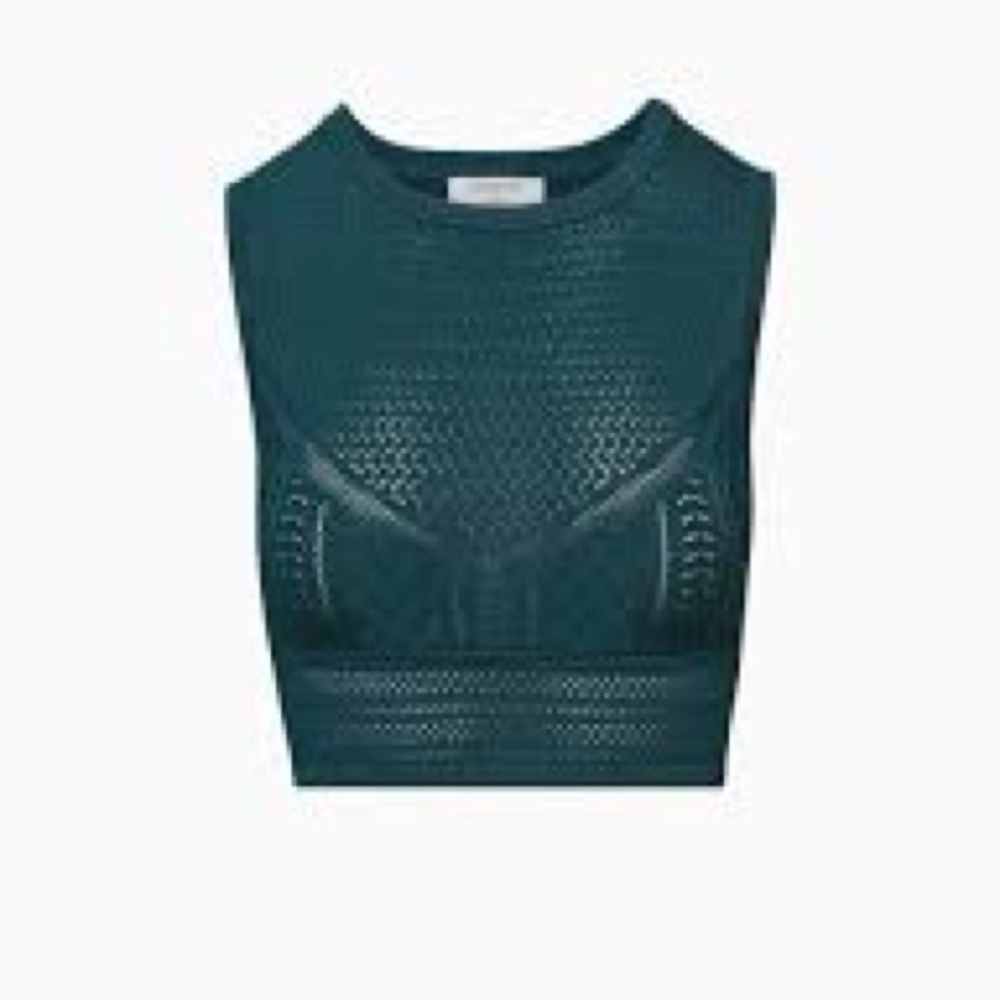 Aritzia Babaton Pointelle Top | Green | NWOT | Large